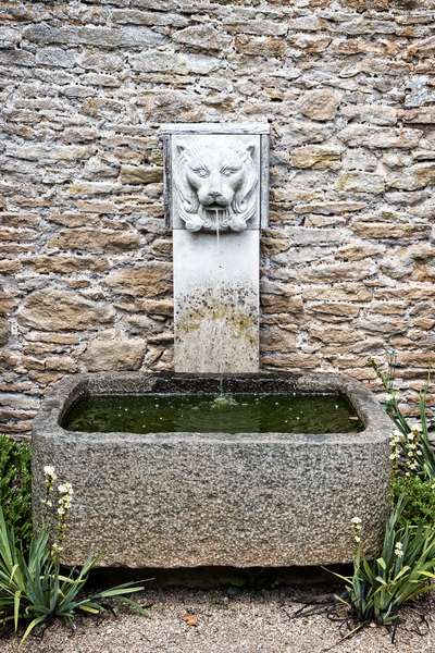 Ornamental water trough