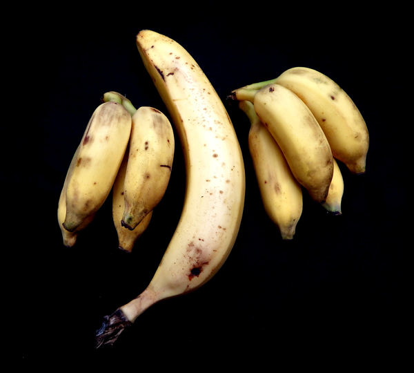 ripe banana varieties1