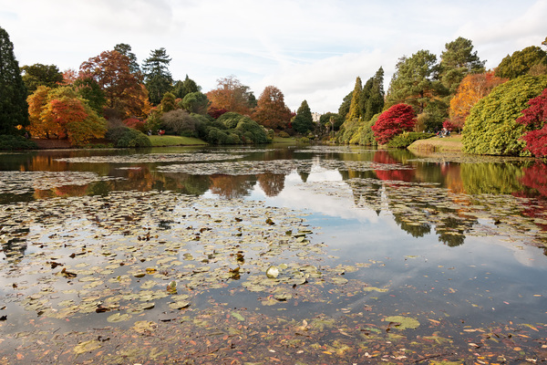 Autumn park lake
