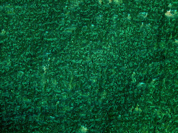 abstract jungle green in rain1