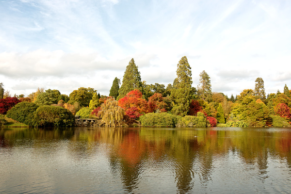 Park lakeside in autumn