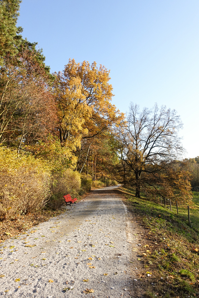 late autumn walkway