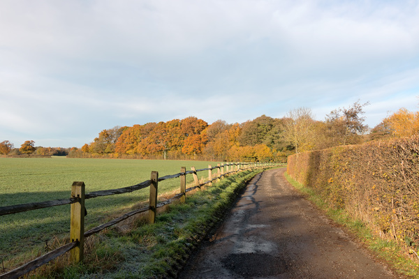 Farm lane in autumn