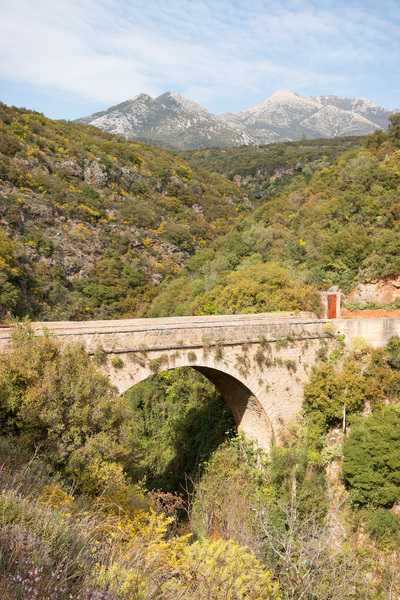 Bridge over a gorge
