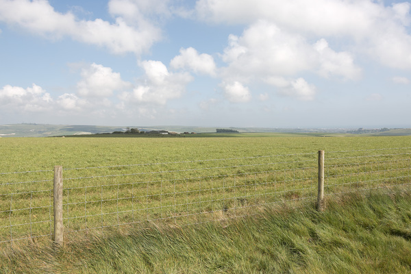 Spring farm landscape