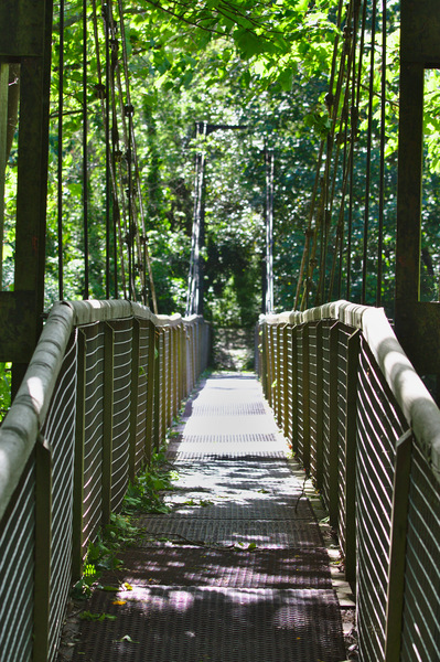 Woodland suspension bridge