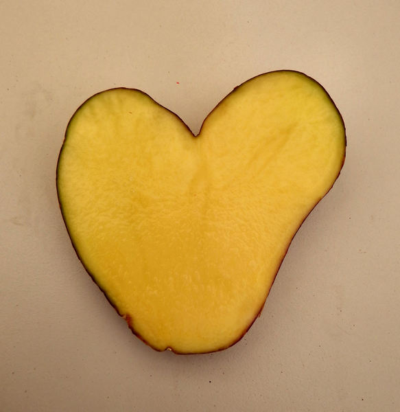 potato love4