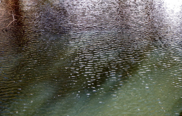 lakeside ripple & reflections6
