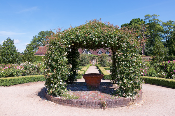 Garden rose arbour