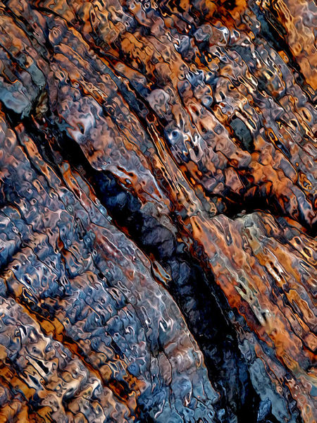 abstract treetrunk bark layers