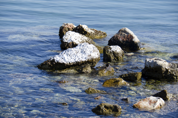 sea rocks 2: sea rocks