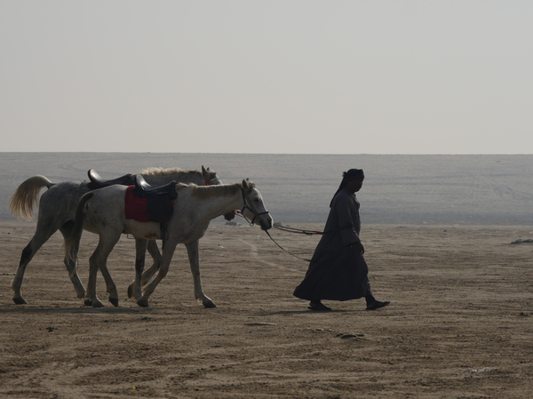 Riding Horses in the desert