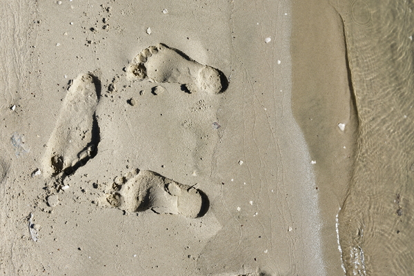Sand close up on sandy beach