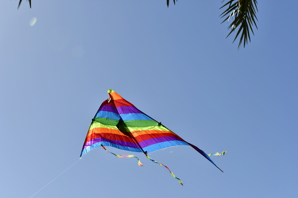 colourful Kite i flight