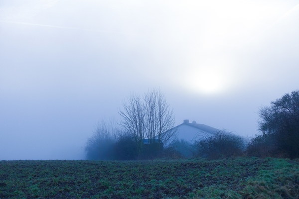 foggy house scenery