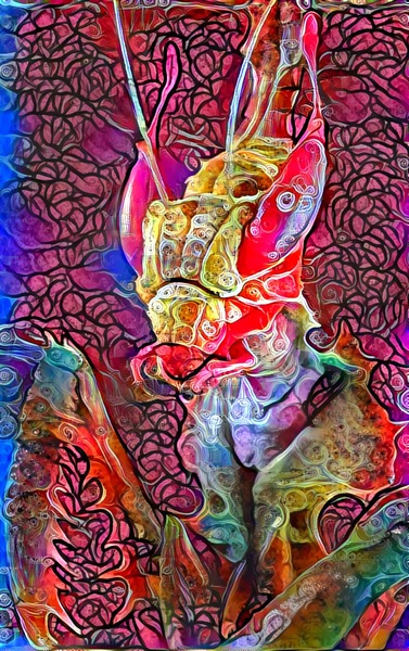 Psychedelic mantis