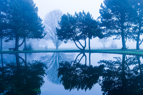 fog and lake reflections