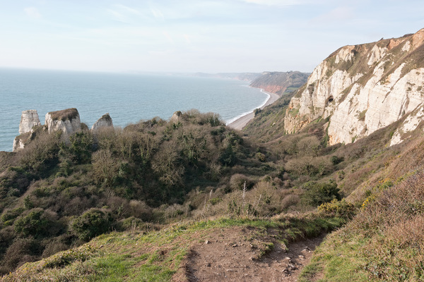 Devon coastal landscape