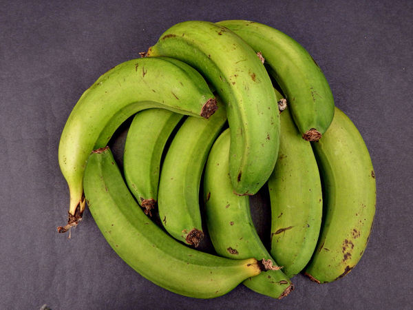 green bananas1
