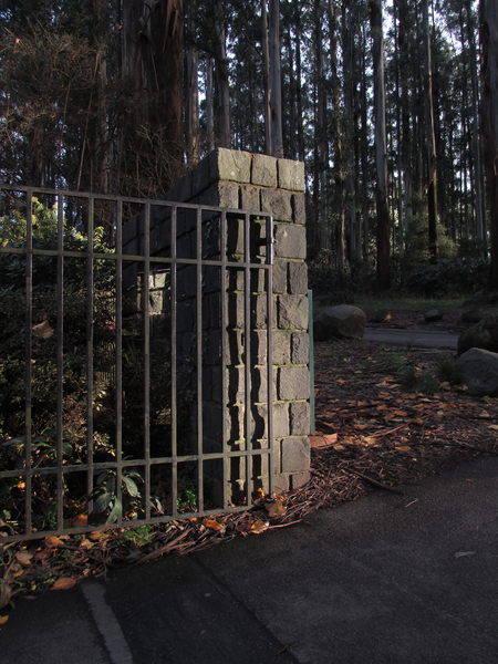 Metal gate
