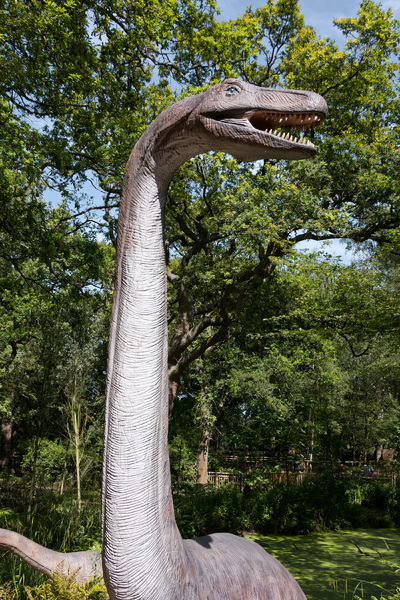 Plesiosaur dinosaur