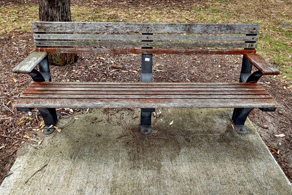 weathered wood park seat