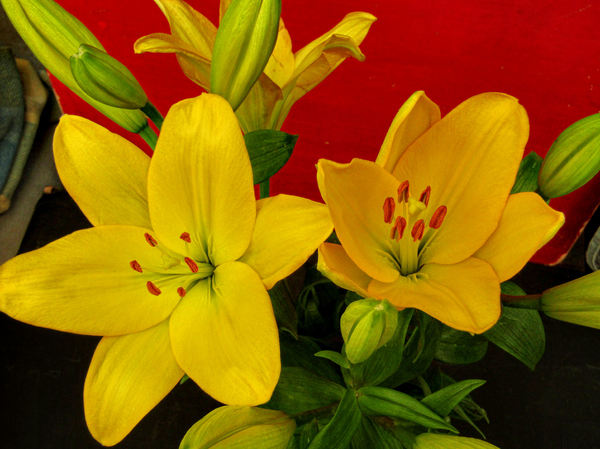 golden flower arrangement6