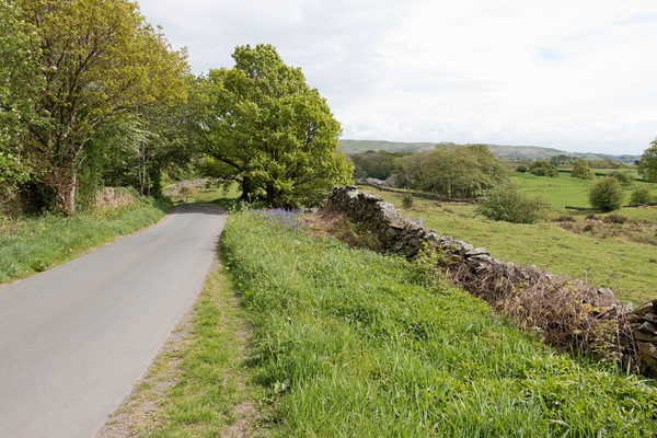 Rural road and landscape