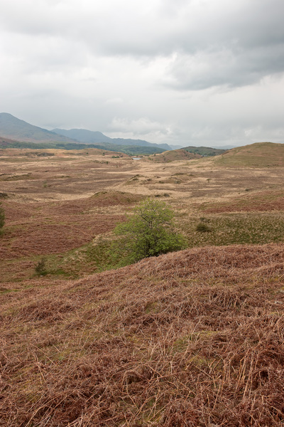 Cumbria landscape
