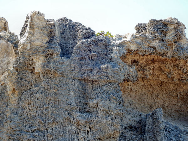 seaside limestone cliffs2