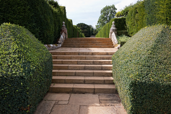 Garden steps and topiary