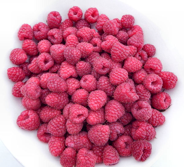 fresh raspberries1