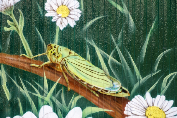 airbrushed grasshopper