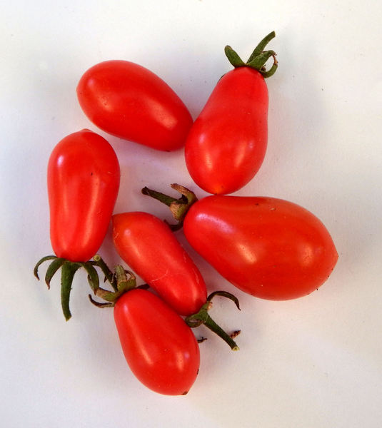 tomato variaties4