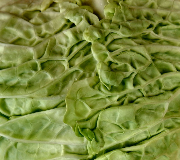 green texture folds