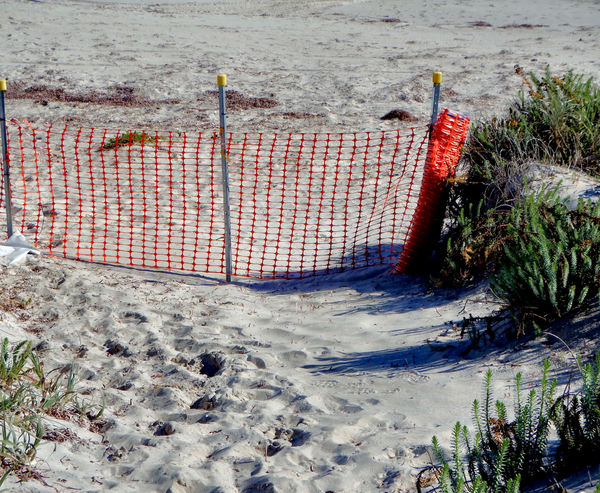 beach barrier1