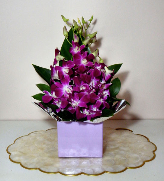 dark pink orchid gift 1a