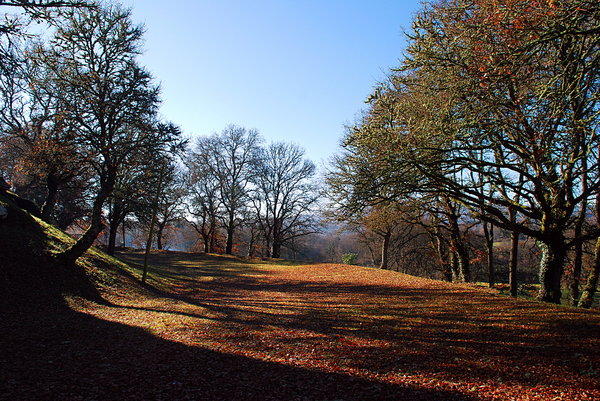 Autumn landscape: Autumn landscape in Narla, Lugo, Galicia, Spain, EU