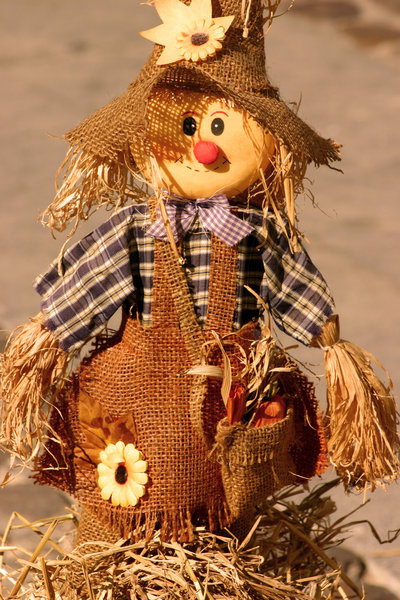 toy scarecrow 2