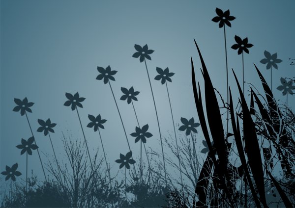 fleurs dans le noir: 