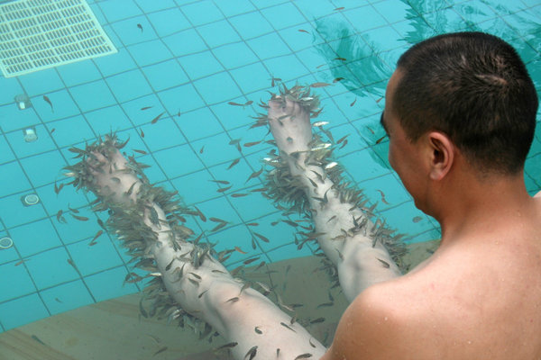 Fish massage: Fish used to nibble away dead skin as a form of massage in Hainan, China.