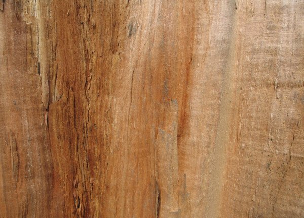 wood texture: none