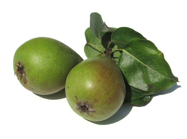 pears 2