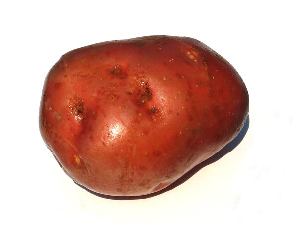 a potato: none