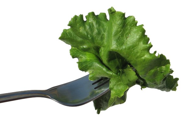 lettuce leaf 1: none