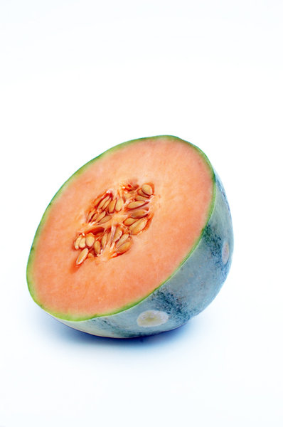 Melon 'charentais' serie # 2