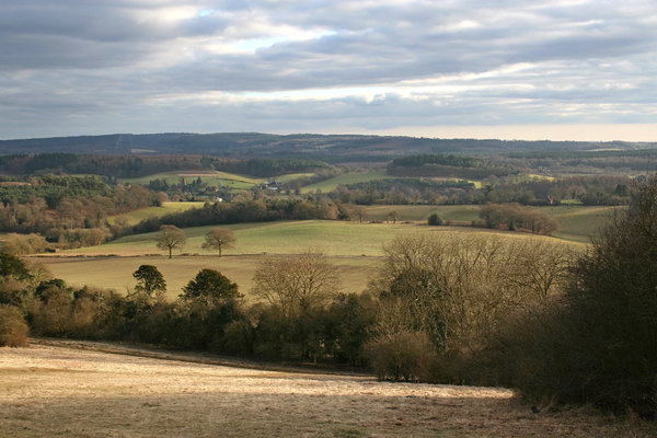 February landscape: Landscape of the North Downs, Surrey, England, in February.