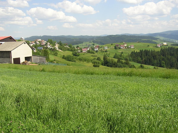 Valley village