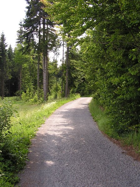 Waldweg: 