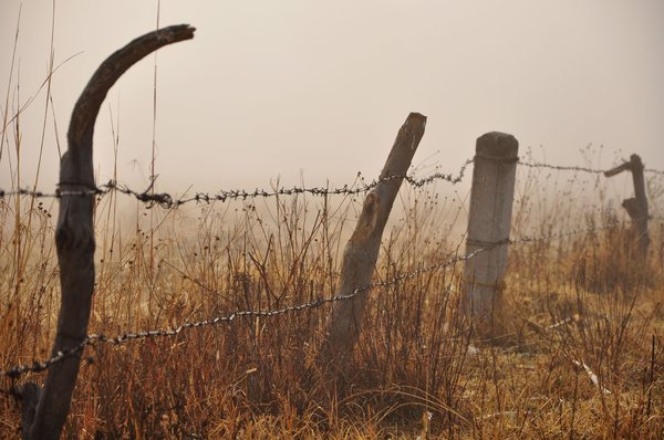 Wired fence: Wired fence in the country, against a misty backdrop, in the morning